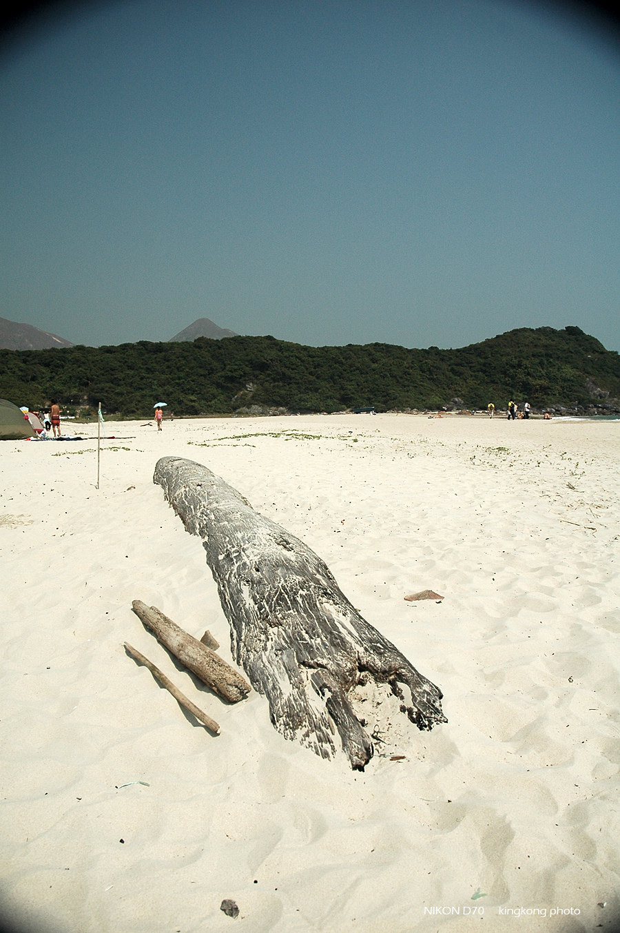 DSC_4327.JPG - 麥理浩徑2段, 鹹田灣 - 赤徑