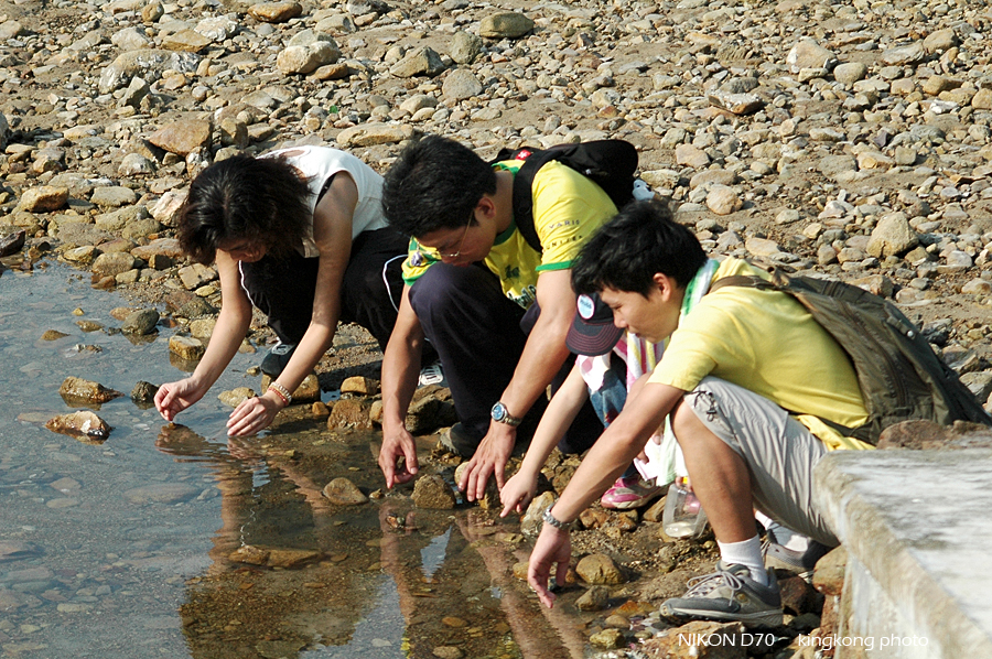 DSC_4353.JPG - 麥理浩徑2段, 鹹田灣 - 赤徑