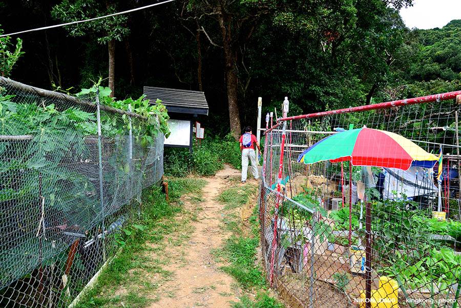 DSC_0712.jpg