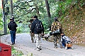 _DSC0866