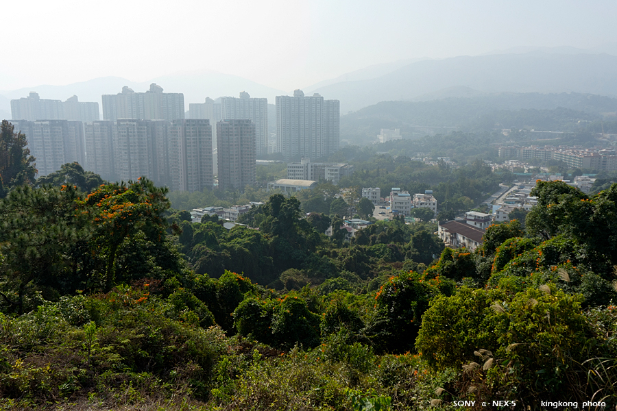 _DSC5450.jpg - Taken at Latitude/Longitude:22.459571/114.158928. 0.55 km South-East Hong Lok Yuen  Hong Kong   (Map link) 