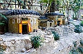 _DSC5467