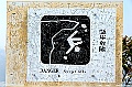 _DSC5509