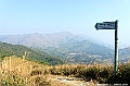 _DSC5518