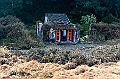 _DSC5526