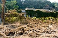 _DSC5530