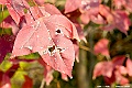 _DSC5570