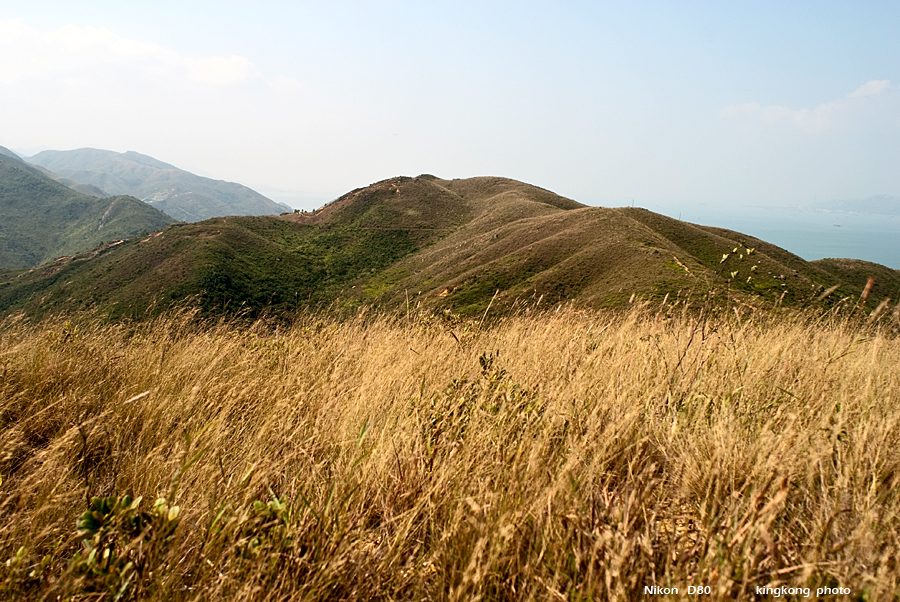 DSC_1302.JPG - 花瓶頂, 大陰頂, 昂船凹