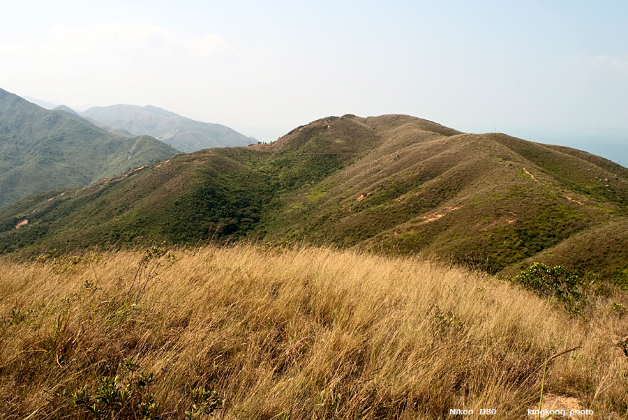 DSC_1304.JPG - 花瓶頂, 大陰頂, 昂船凹