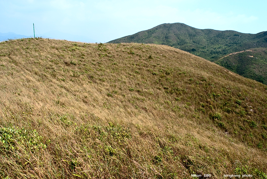 DSC_1315.JPG - 花瓶頂, 大陰頂, 昂船凹