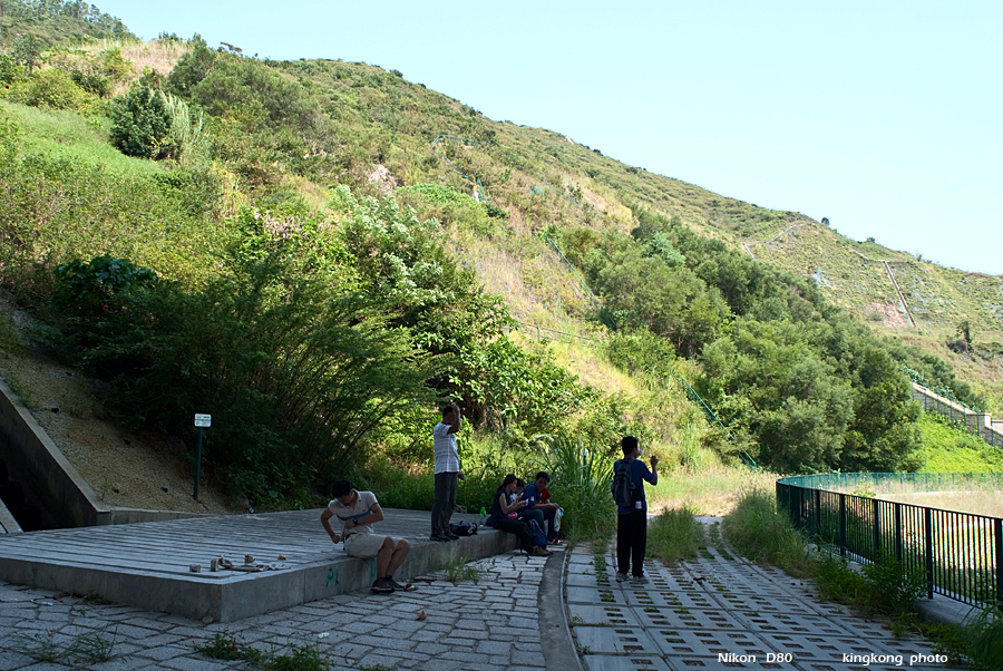 DSC_1374.JPG