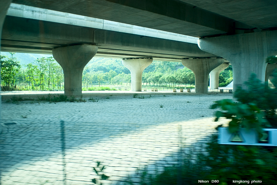 DSC_1444.JPG