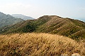 DSC_1304