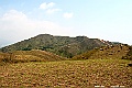 DSC_1338