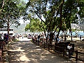 SANY0647