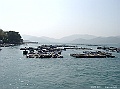 SANY0648