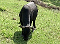 SANY0660