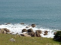 SANY0664
