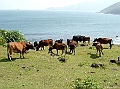 SANY0673