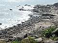 SANY0676