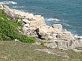 SANY0677