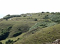 SANY0678