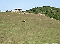 SANY0684