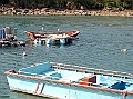 SANY0710