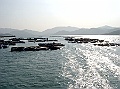 SANY0712