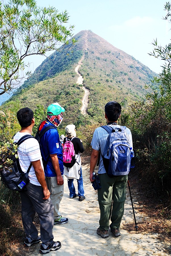 DSC_2889.jpg - Neddle Hill, Grassy Hill針山, 草山