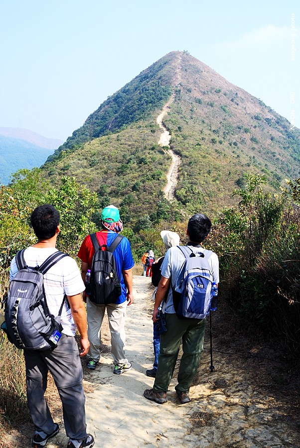 DSC_2890.jpg - Neddle Hill, Grassy Hill針山, 草山