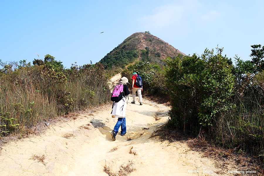 DSC_2891.jpg - Neddle Hill, Grassy Hill�w�s, ��