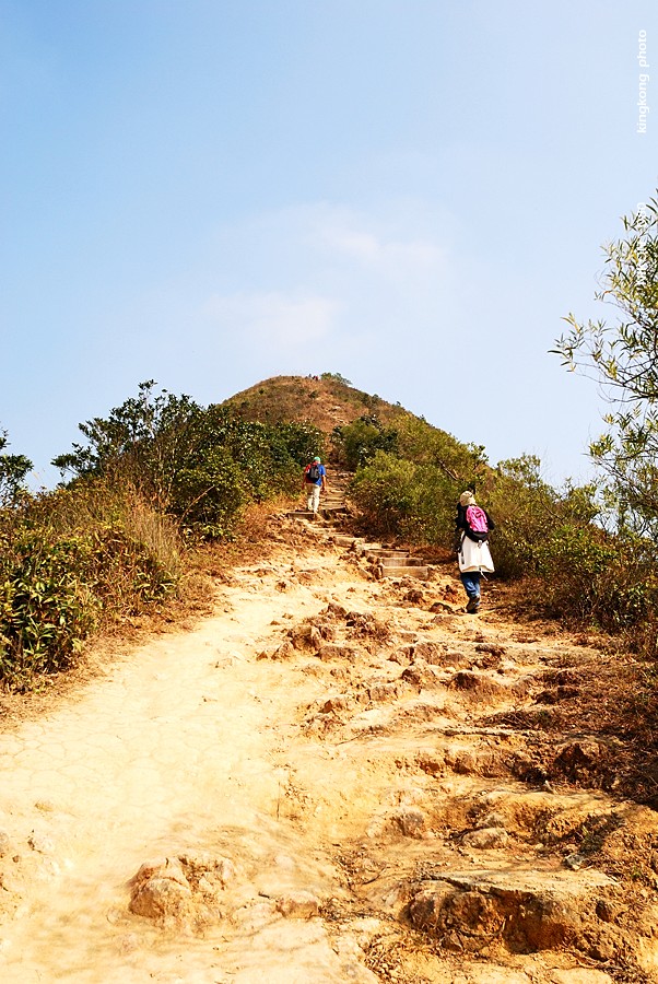 DSC_2892.jpg - Neddle Hill, Grassy Hill針山, 草山