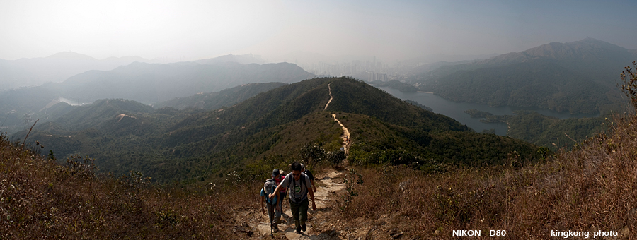 DSC_2896.jpg - Neddle Hill, Grassy Hill�w�s, ��