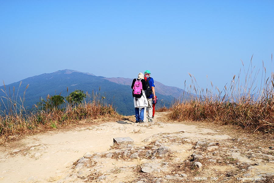 DSC_2909.jpg - Neddle Hill, Grassy Hill�w�s, ��