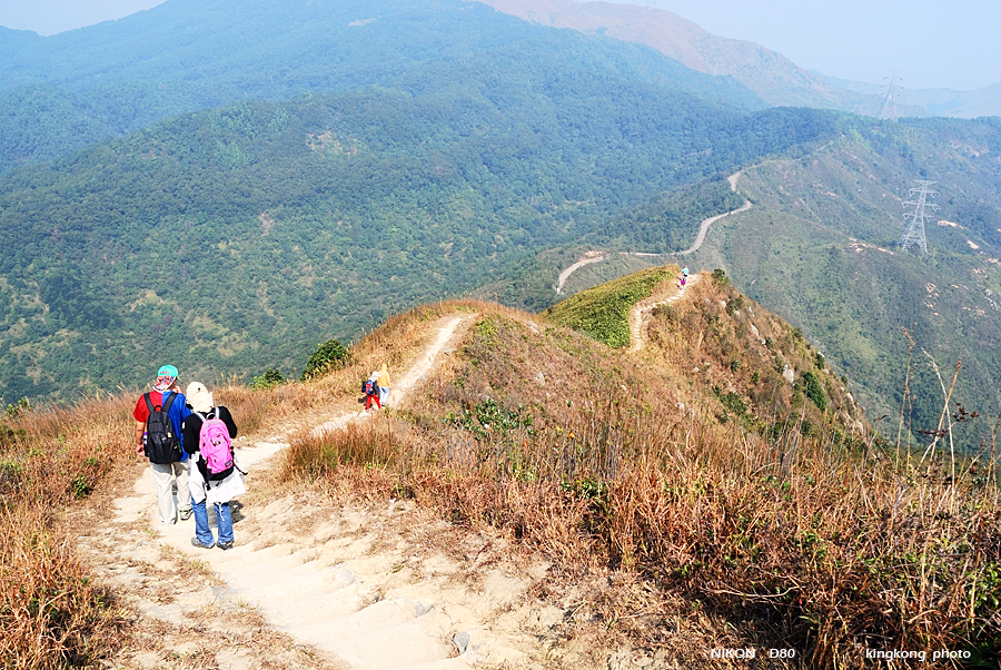 DSC_2911.jpg - Neddle Hill, Grassy Hill�w�s, ��