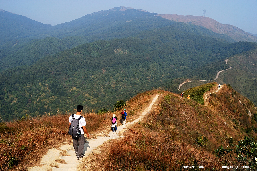 DSC_2912.jpg - Neddle Hill, Grassy Hill�w�s, ��