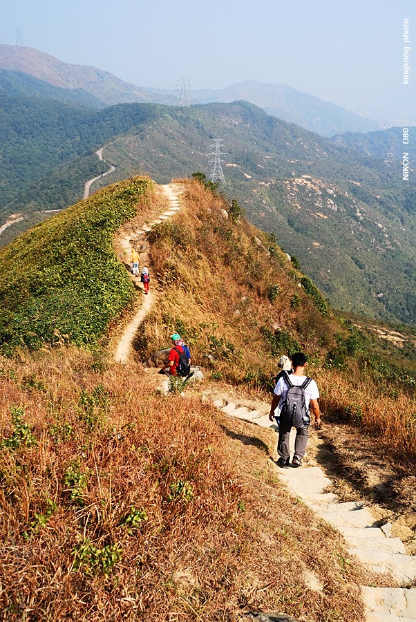 DSC_2914.jpg - Neddle Hill, Grassy Hill針山, 草山