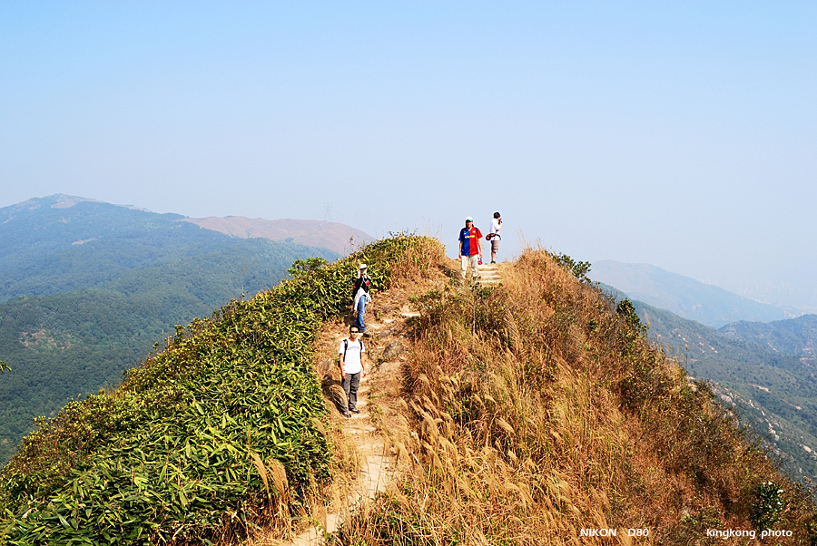 DSC_2915.jpg - Neddle Hill, Grassy Hill�w�s, ��
