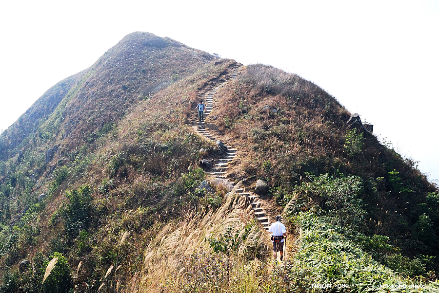 DSC_2917.jpg - Neddle Hill, Grassy Hill�w�s, ��