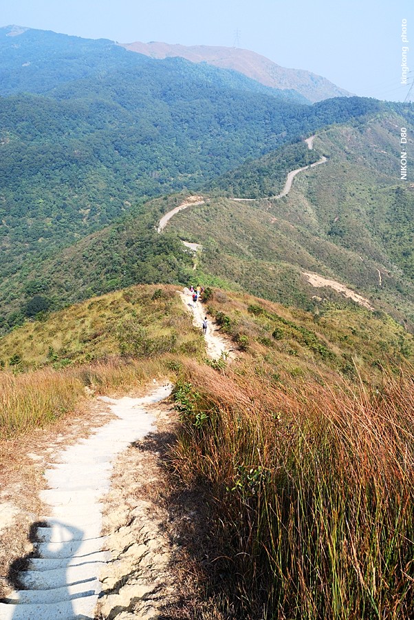 DSC_2926.jpg - Neddle Hill, Grassy Hill針山, 草山