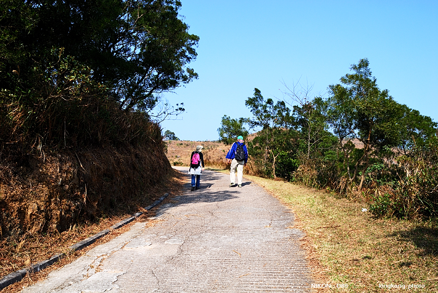 DSC_2950.jpg - Neddle Hill, Grassy Hill�w�s, ��