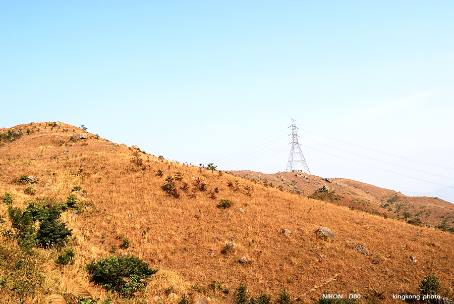 DSC_2962.jpg - Neddle Hill, Grassy Hill�w�s, ��