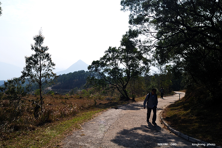 DSC_2963.jpg - Neddle Hill, Grassy Hill�w�s, ��