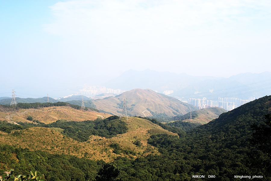 DSC_3017.jpg - Neddle Hill, Grassy Hill�w�s, ��