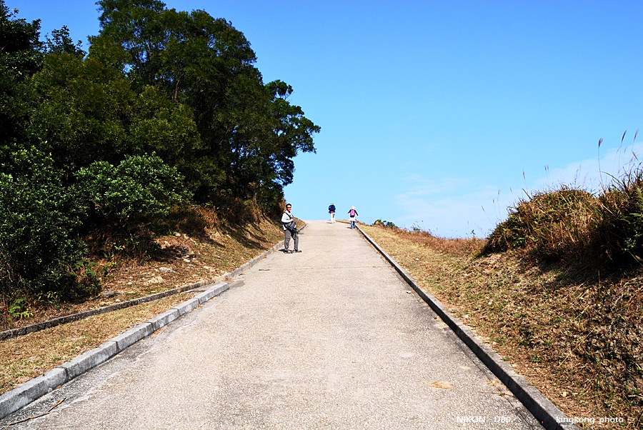 DSC_3045.jpg - Neddle Hill, Grassy Hill�w�s, ��