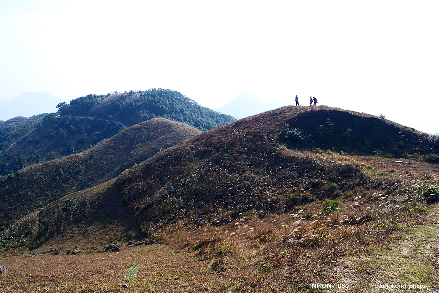 DSC_3050.jpg - Neddle Hill, Grassy Hill�w�s, ��