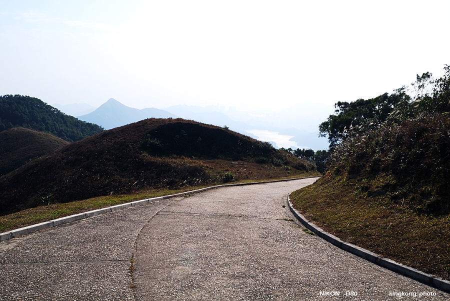 DSC_3077.jpg - Neddle Hill, Grassy Hill�w�s, ��