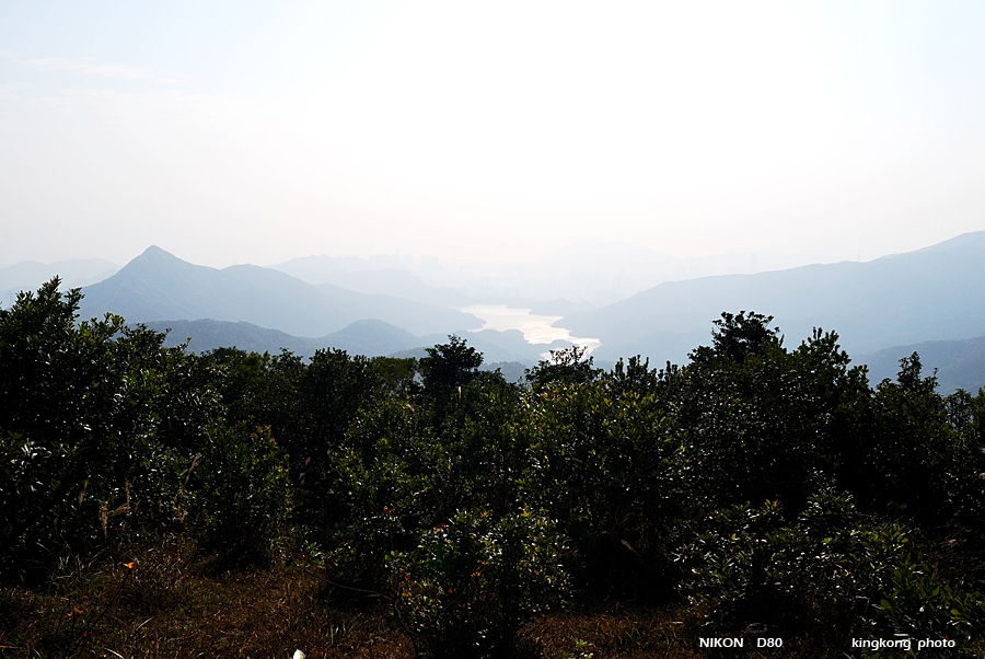 DSC_3104.jpg - Neddle Hill, Grassy Hill�w�s, ��