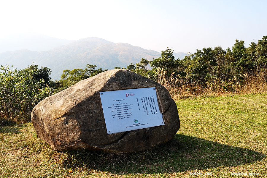 DSC_3107.jpg - Neddle Hill, Grassy Hill�w�s, ��